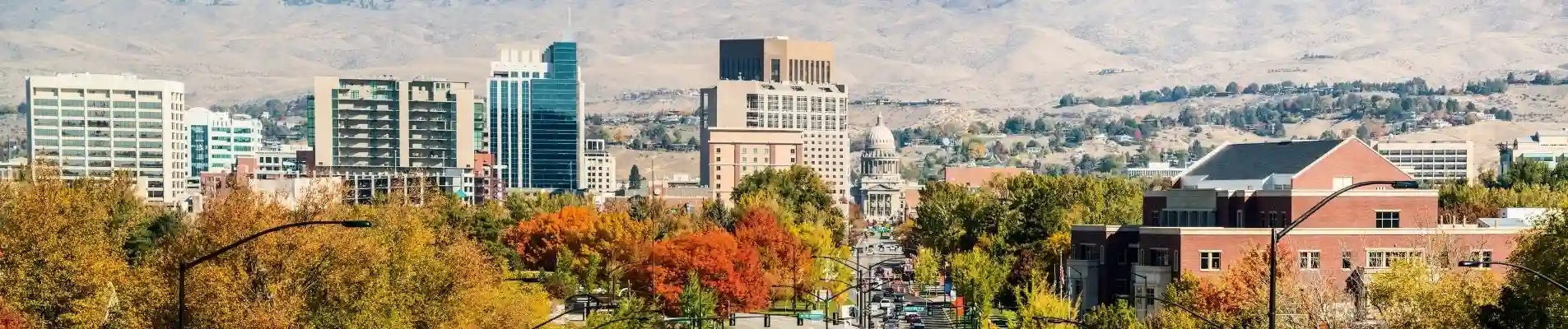 Idaho Practice Areas